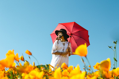 Yellow Flowers